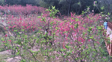 春暖花开 光臣照明春游活动圆满结束